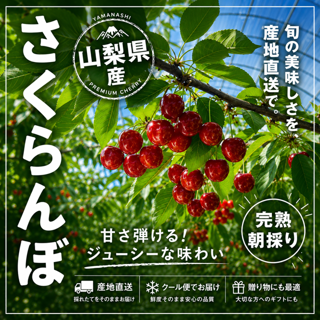 朝どり　大粒　さくらんぼ　サミット　#C03
